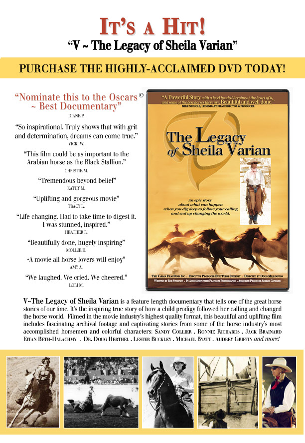 The Legacy of Sheila Varian - DVD poster