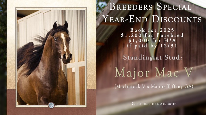 Major Mac V - Year End Breeding Special