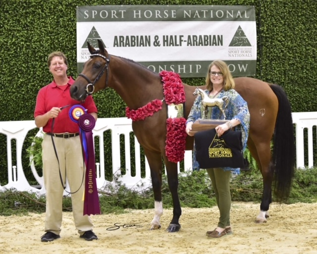 California Sun V and Clint Voris at the 2021 Sport Horse National Championships